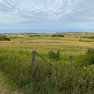 Meet your Posher, Travis